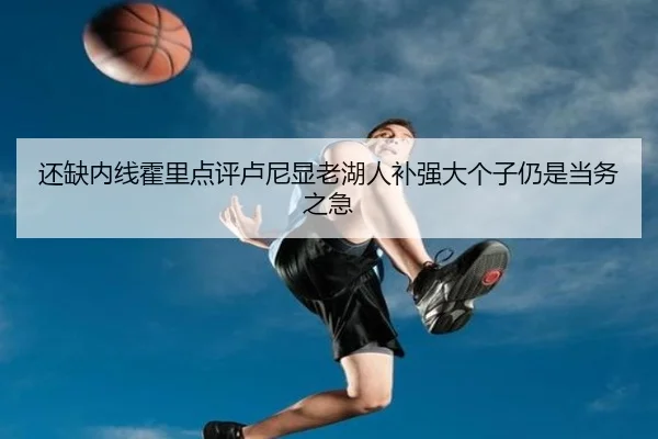 还缺内线霍里点评卢尼显老湖人补强大个子仍是当务之急